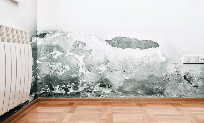 Service d'expertise pour l'humidité, Nîmes, France Experts